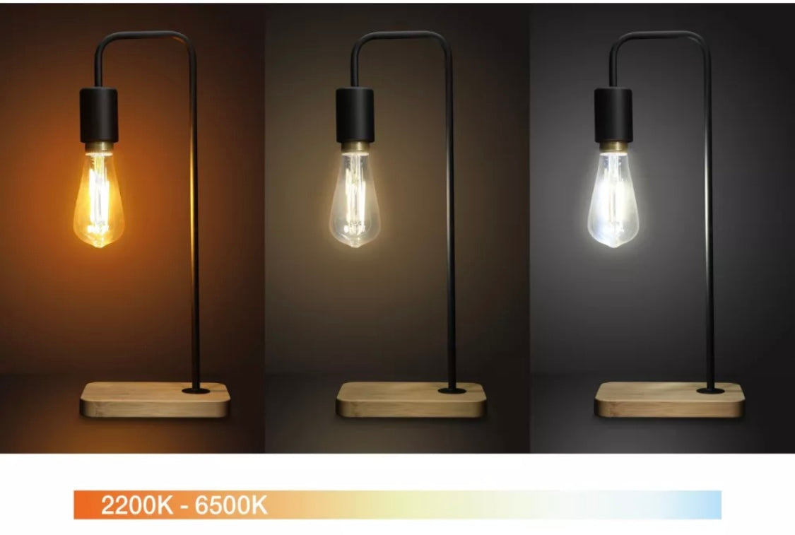 Pack découverte (2 ampoules filaments Edison E27 800 lumens White + Pont + Interrupteur) connectés -14.900F