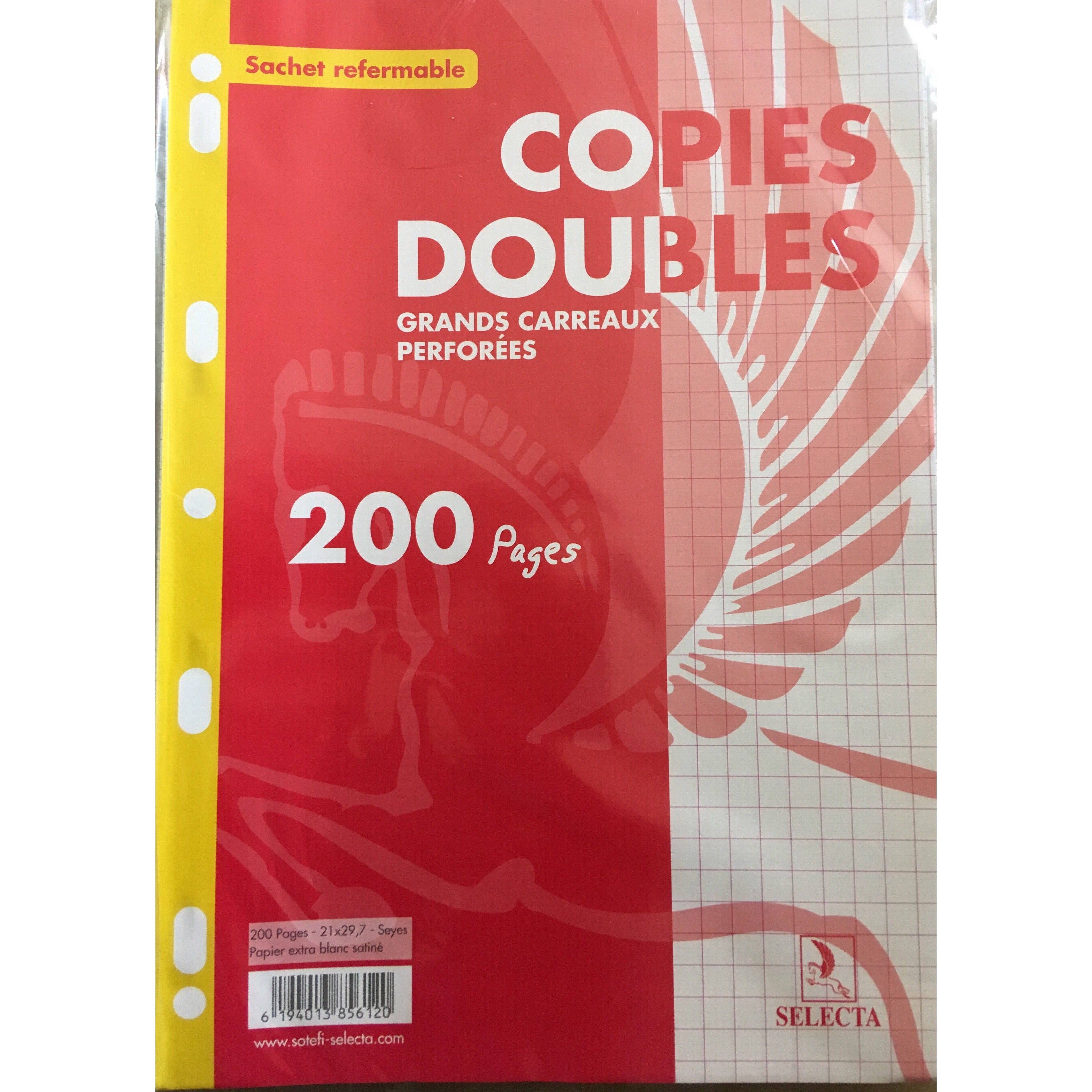 Copies doubles 100P A4 Séyès Perforées