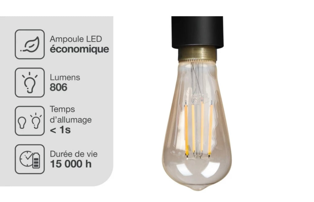 Pack découverte (2 ampoules filaments Edison E27 800 lumens White + Pont + Interrupteur) connectés -14.900F