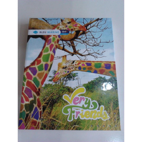 Cahier Couv Rigide 17x22 384p seyes -25% - GEO Gabon Shop Online 