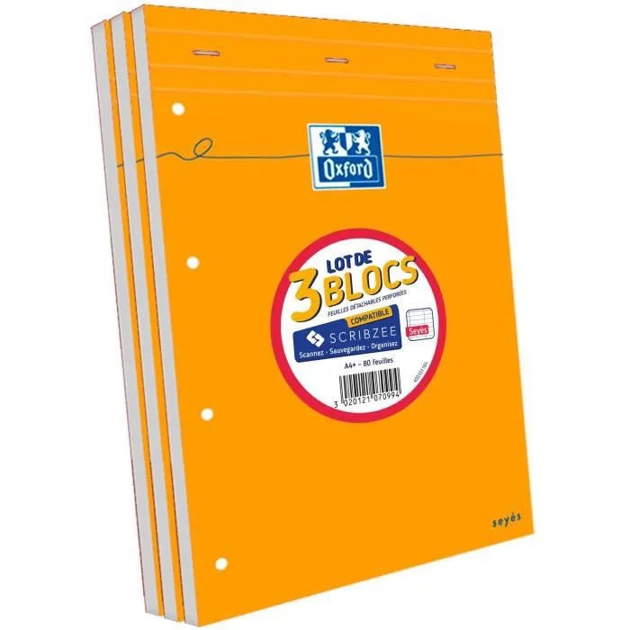 Bloc de Cours 21x31.5 80F perforées seyes (x3) -22%