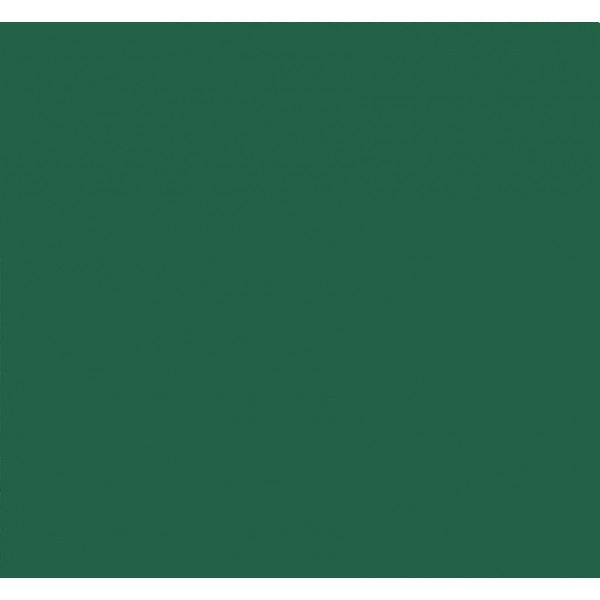 Feuille Maya A2 vert -200F - GEO Gabon Shop Online 